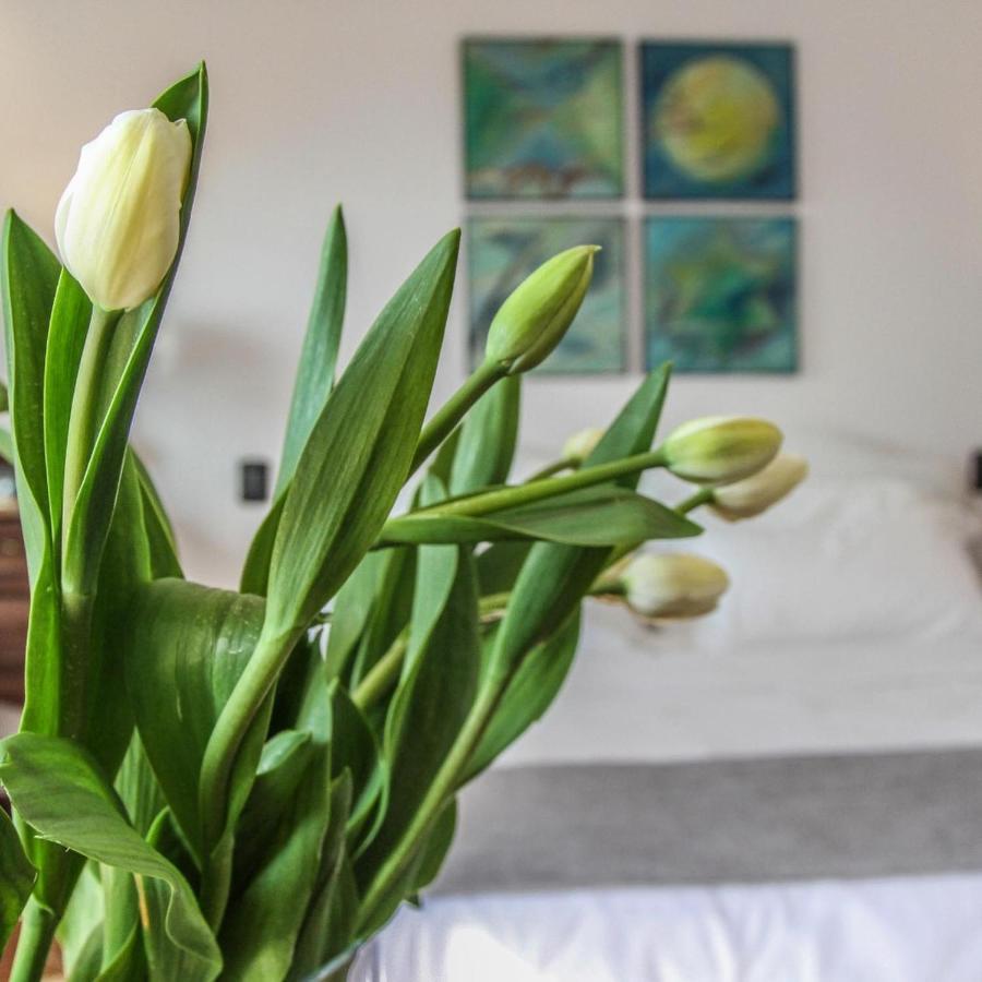 La Locanda Del Pontefice - Luxury Country House Marino Eksteriør billede